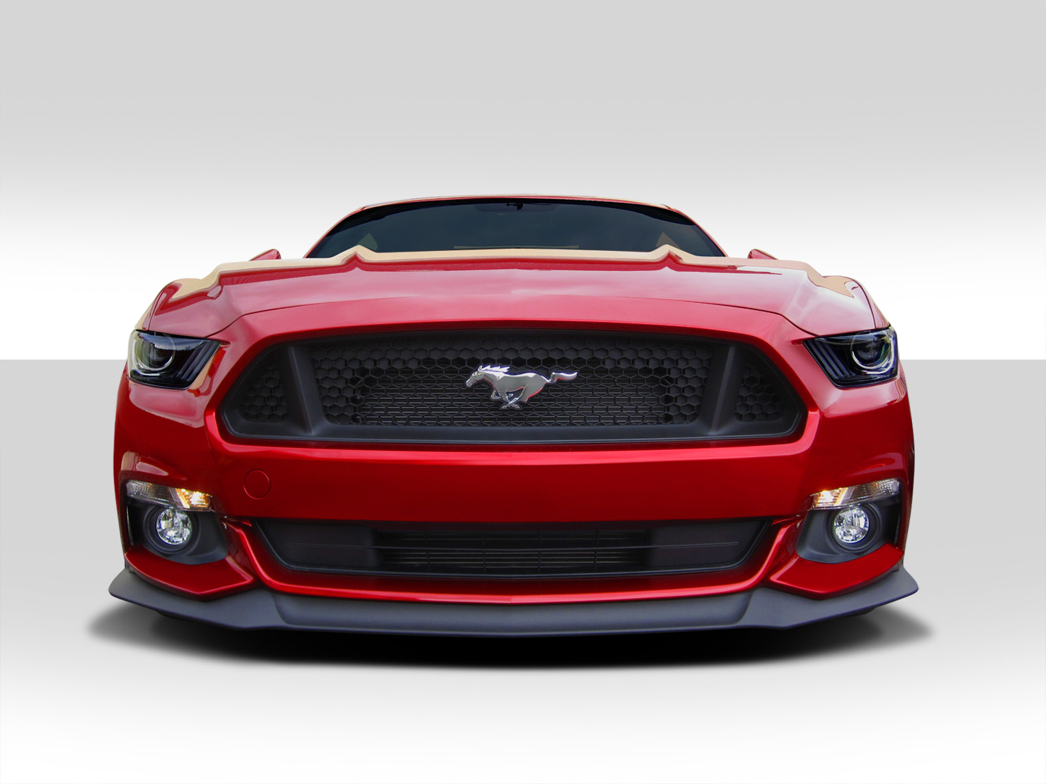a look at the unique features of the mustang Engines and standard features the 1965 mustang used a 170-cubic-inch straight-six which has become mustang’s signature look the interior had a unique. a look at the unique features of the mustang Engines and standard features the 1965 mustang used a 170-cubic-inch straight-six which has become mustang’s signature look the interior had a unique.